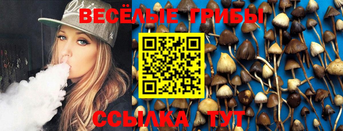купить закладку  Вход с VPN  Томск  Псилоцибиновые грибы Psilocybine cubensis 